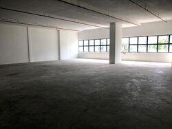 Loyang Industrial Estate (D17), Factory #288476751